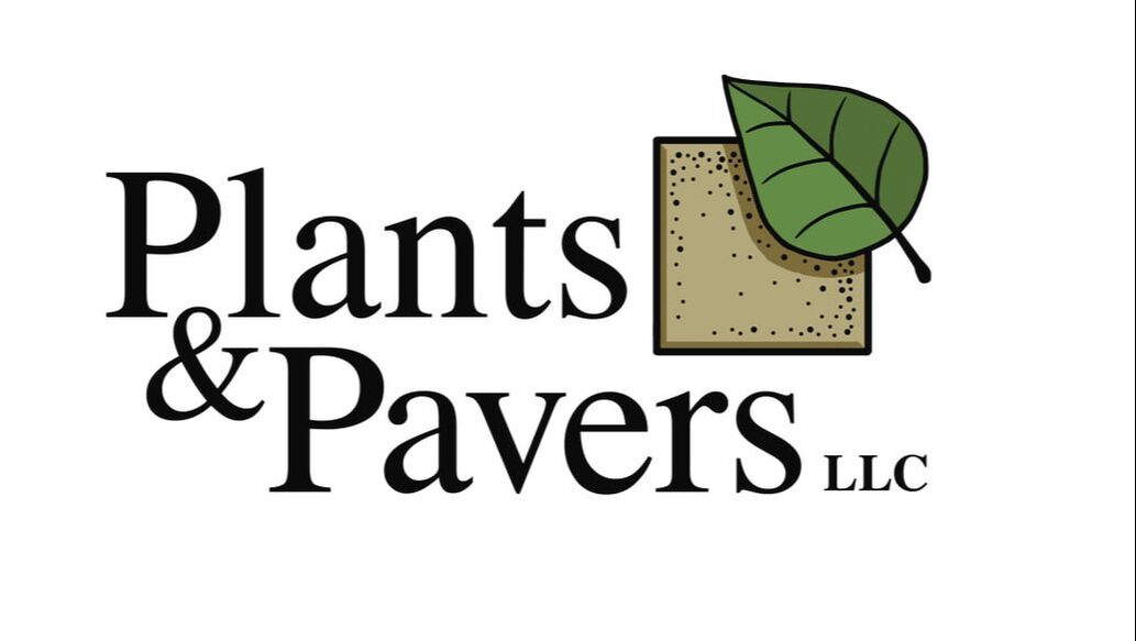 PLANTS & PAVERS LLC